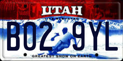 UT license plate B029YL