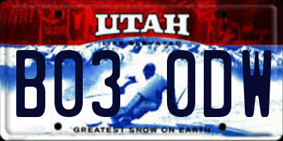 UT license plate B030DW