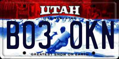 UT license plate B030KN