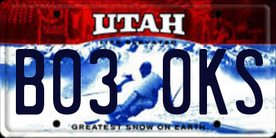 UT license plate B030KS