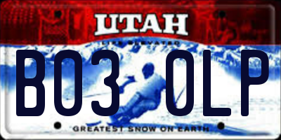 UT license plate B030LP