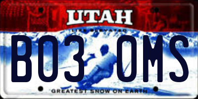 UT license plate B030MS