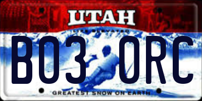 UT license plate B030RC