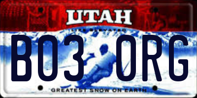 UT license plate B030RG