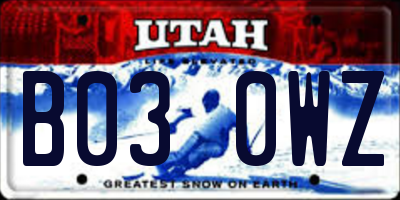 UT license plate B030WZ