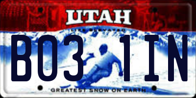 UT license plate B031IN