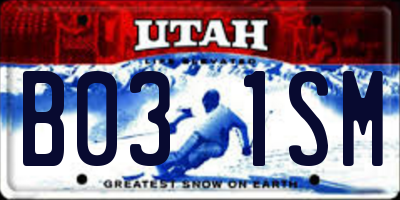 UT license plate B031SM