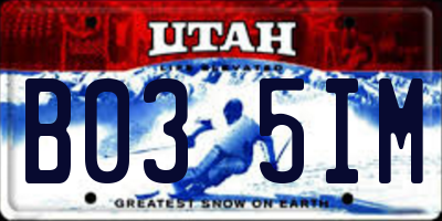 UT license plate B035IM