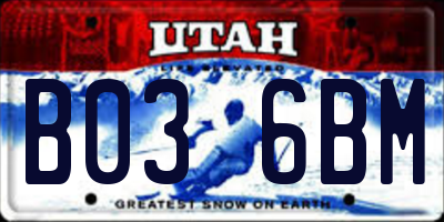 UT license plate B036BM