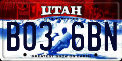 UT license plate B036BN