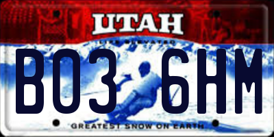 UT license plate B036HM