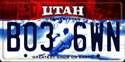 UT license plate B036WN