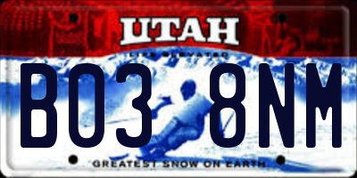 UT license plate B038NM