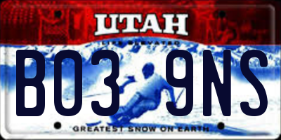 UT license plate B039NS