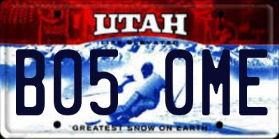 UT license plate B050ME