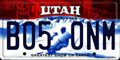 UT license plate B050NM