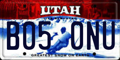 UT license plate B050NU