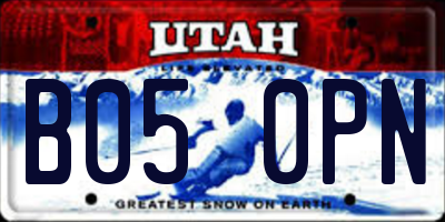 UT license plate B050PN