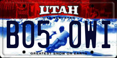 UT license plate B050WI