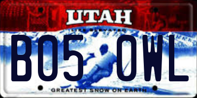 UT license plate B050WL