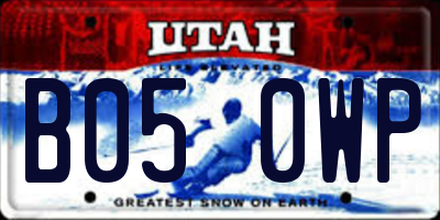 UT license plate B050WP