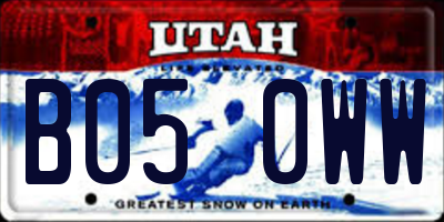 UT license plate B050WW