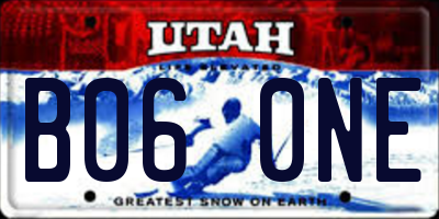 UT license plate B060NE