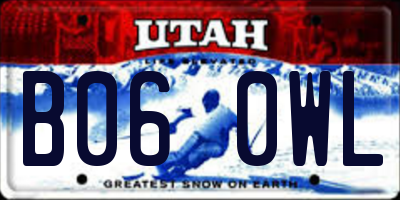 UT license plate B060WL