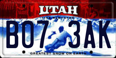 UT license plate B073AK