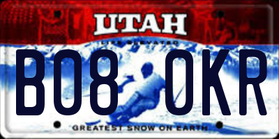 UT license plate B080KR