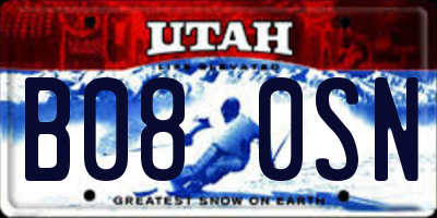 UT license plate B080SN
