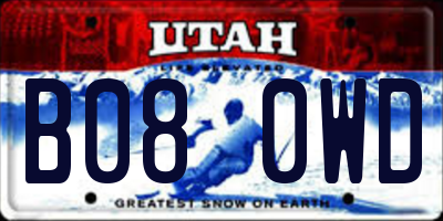 UT license plate B080WD
