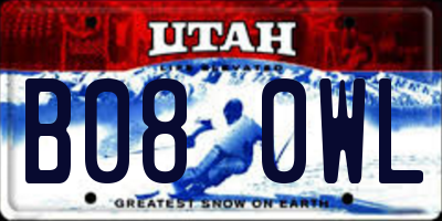 UT license plate B080WL