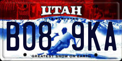 UT license plate B089KA