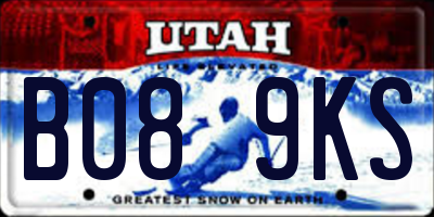 UT license plate B089KS