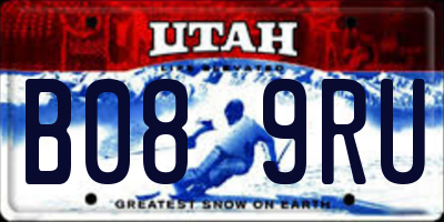 UT license plate B089RU