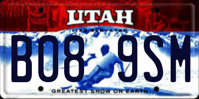 UT license plate B089SM