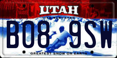 UT license plate B089SW
