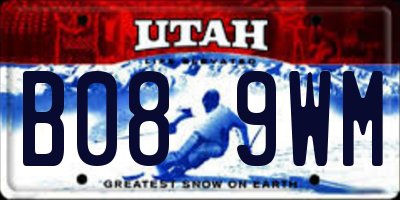 UT license plate B089WM