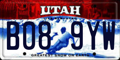 UT license plate B089YW
