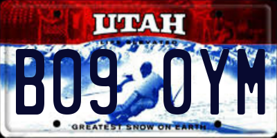 UT license plate B090YM