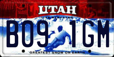 UT license plate B091GM