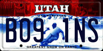 UT license plate B091NS