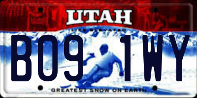 UT license plate B091WY
