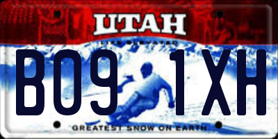 UT license plate B091XH