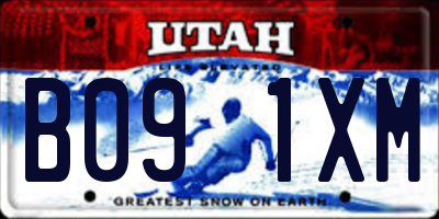 UT license plate B091XM
