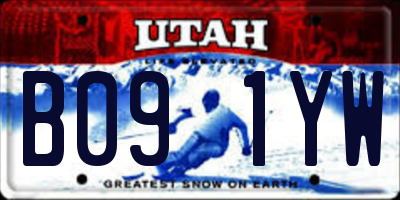UT license plate B091YW