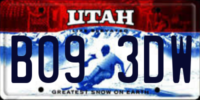 UT license plate B093DW