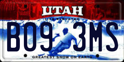 UT license plate B093MS