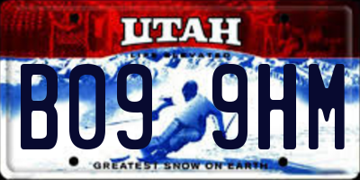 UT license plate B099HM